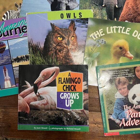 Book Bundle: Lot of 10 Children's Picture Books about Animals for Summer Reading - Picture 6 of 7